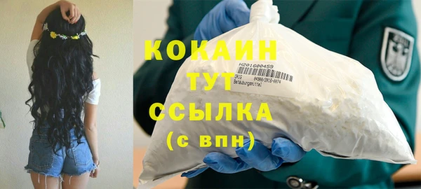 тгк Инсар