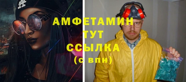 тгк Инсар