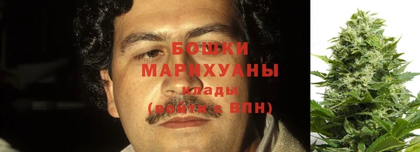 МДПВ Инта