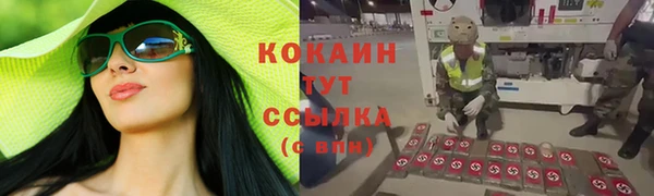 тгк Инсар