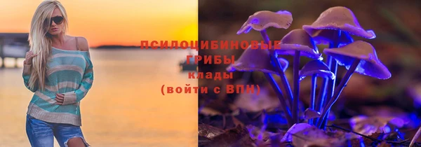 МДПВ Инта