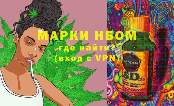 МДПВ Инта