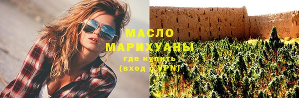 тгк Инсар