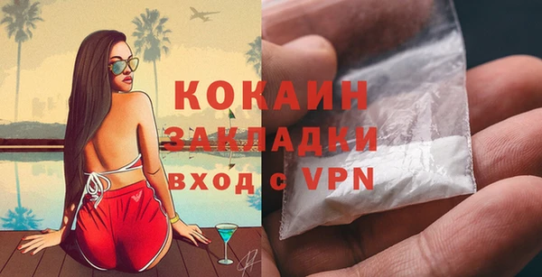 МДПВ Инта