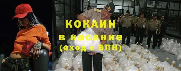 тгк Инсар