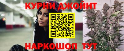 гашик Ливны