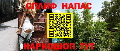 гашик Ливны