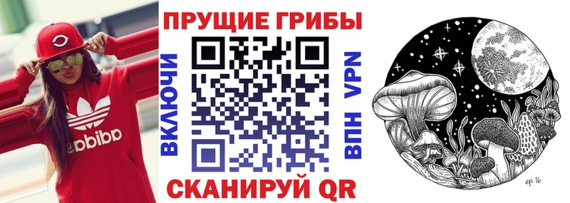 Галлюциногенные грибы ЛСД  Купить где  Ишим 