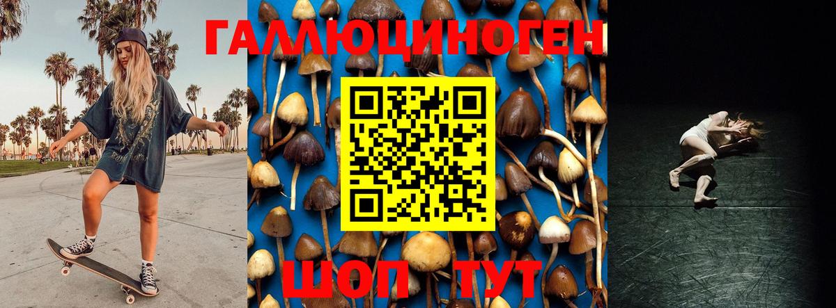 Ишим  Псилоцибиновые грибы мицелий  Вход с VPN 